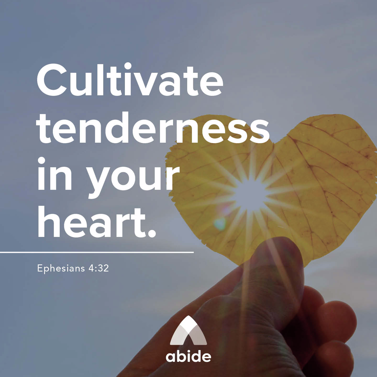 Cultivating a Tender Heart