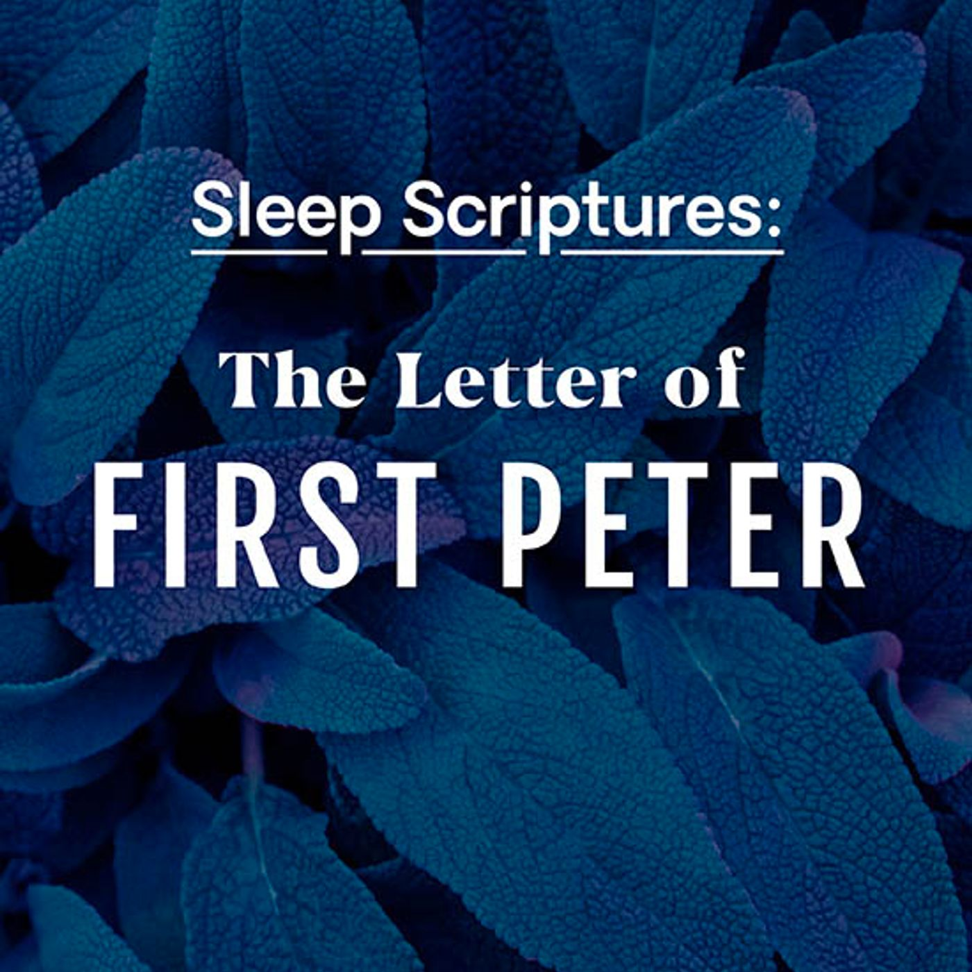 Sleep Scriptures: The First Letter of Peter