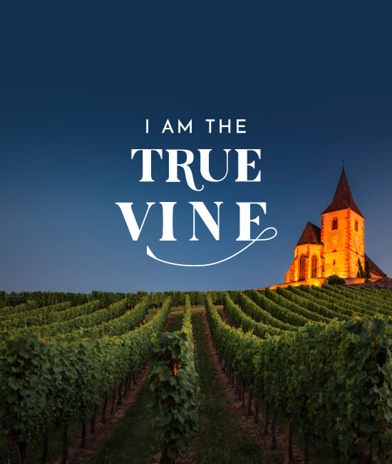 I Am the True Vine