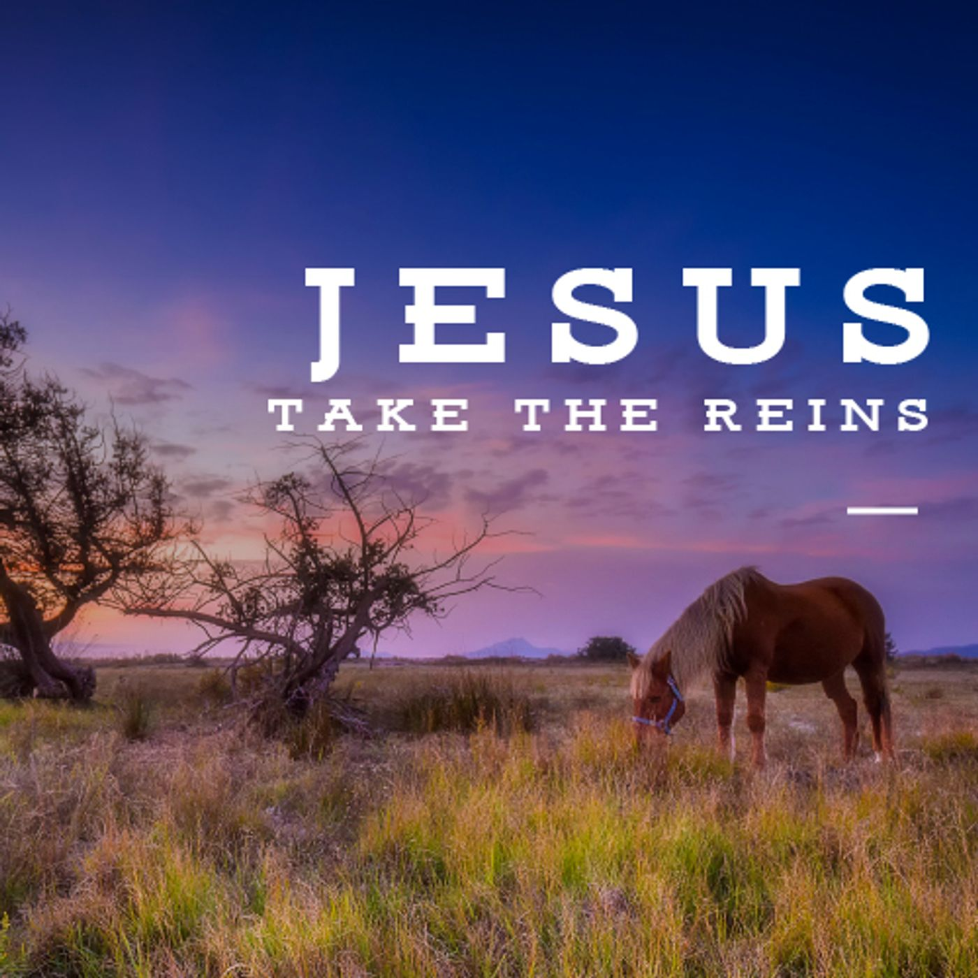 Jesus Take the Reins