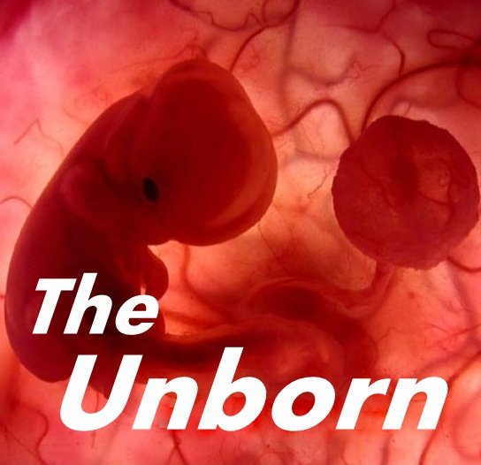 01-17-19  THE UNBORN - Ask God for His Heart! - It's Your Divine Destiny