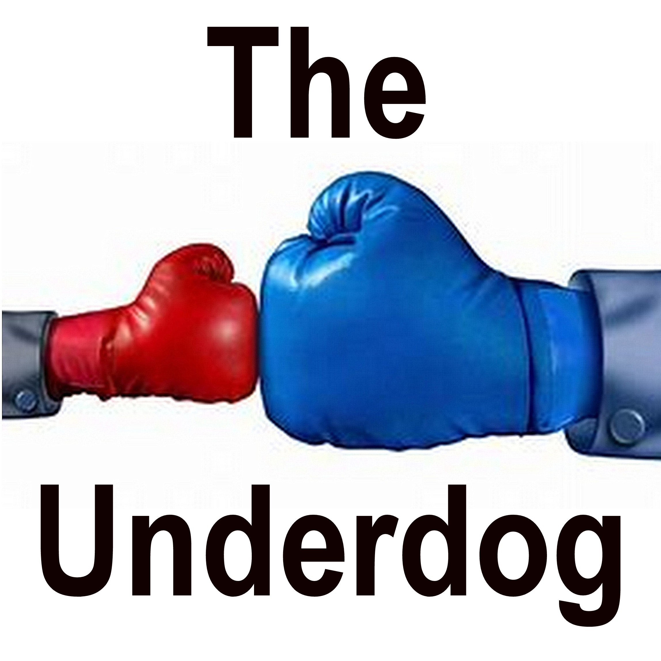 08-15-24   THE UNDERDOG - The Hopeless, Detrimental & Vagabond - Rise Up! - It's Your Divine Destiny