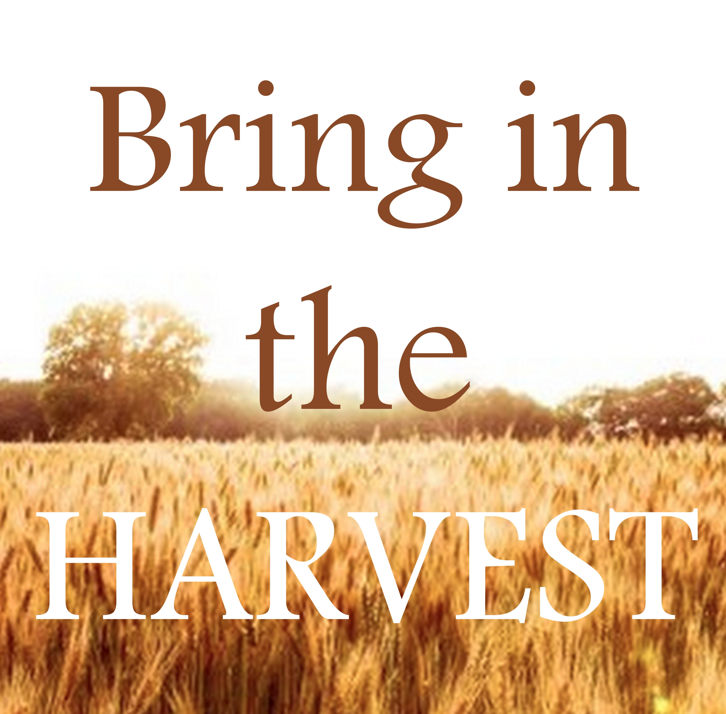 03-24-16  BRING IN THE HARVEST - Be Strong in Me! - It's Your Divine Destiny