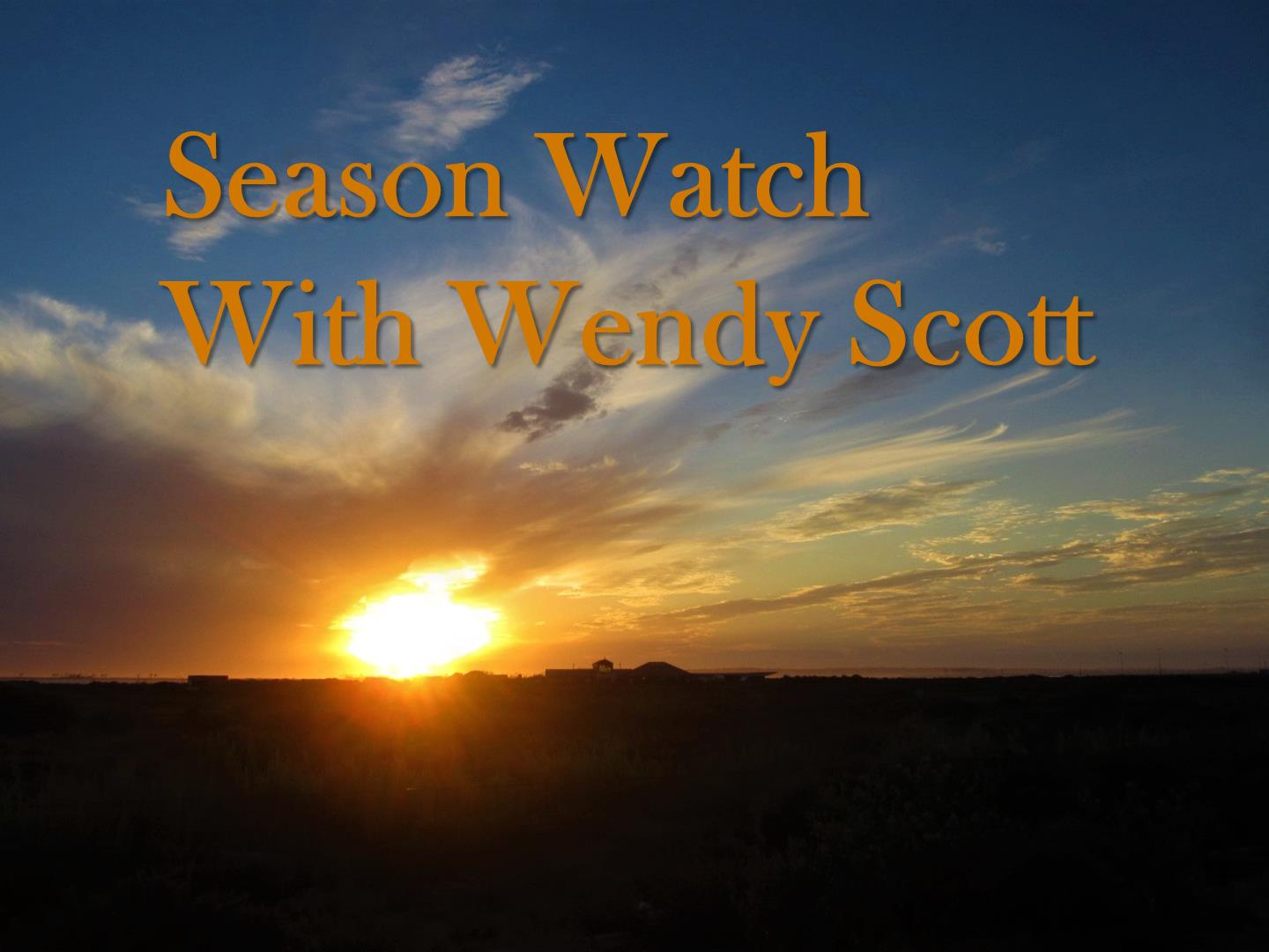 SEASON WATCH | 07.20.24