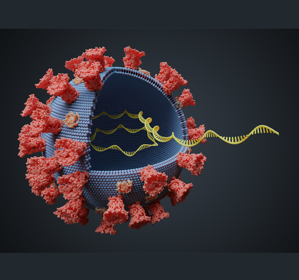 Messenger RNA vaccine