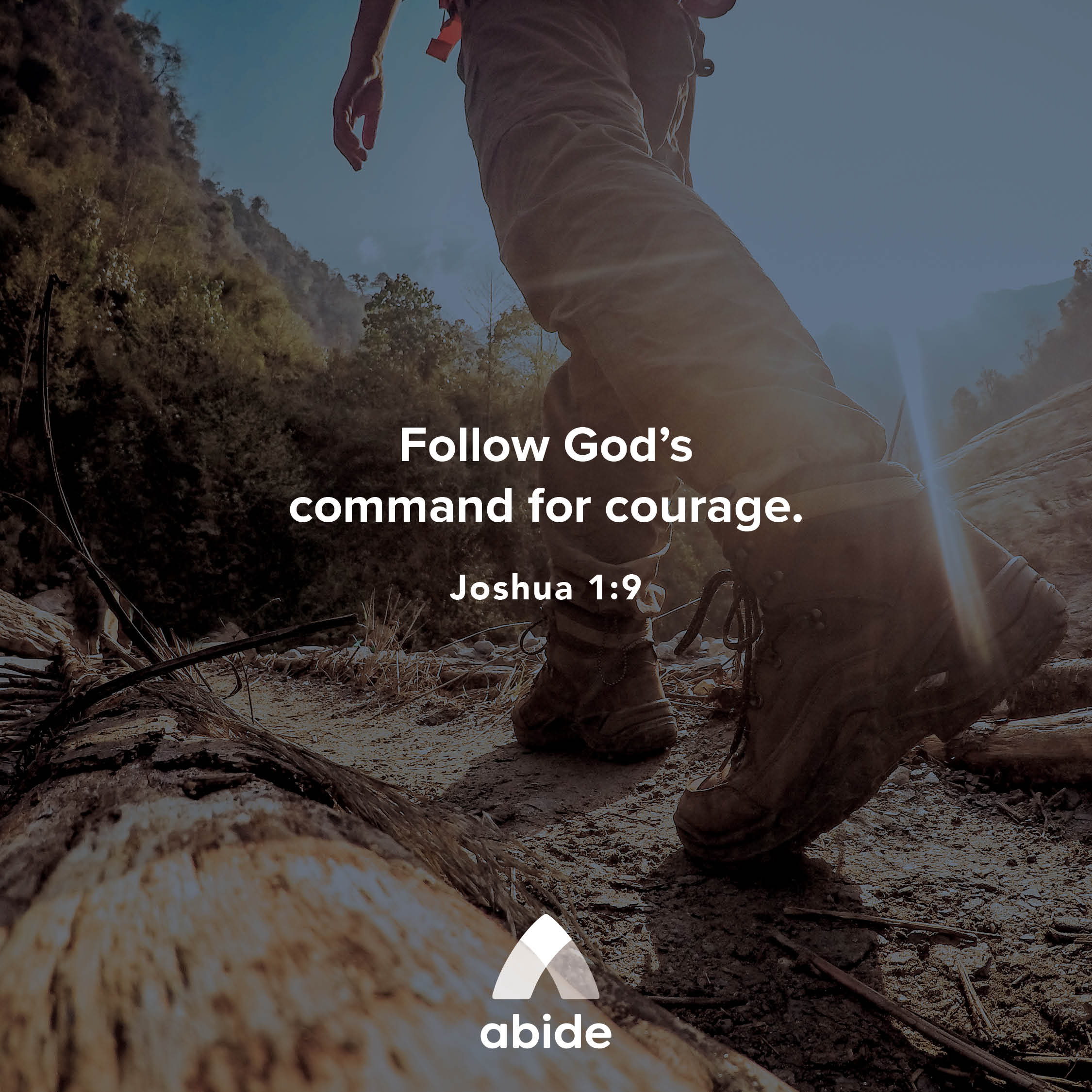 Commanding Courage