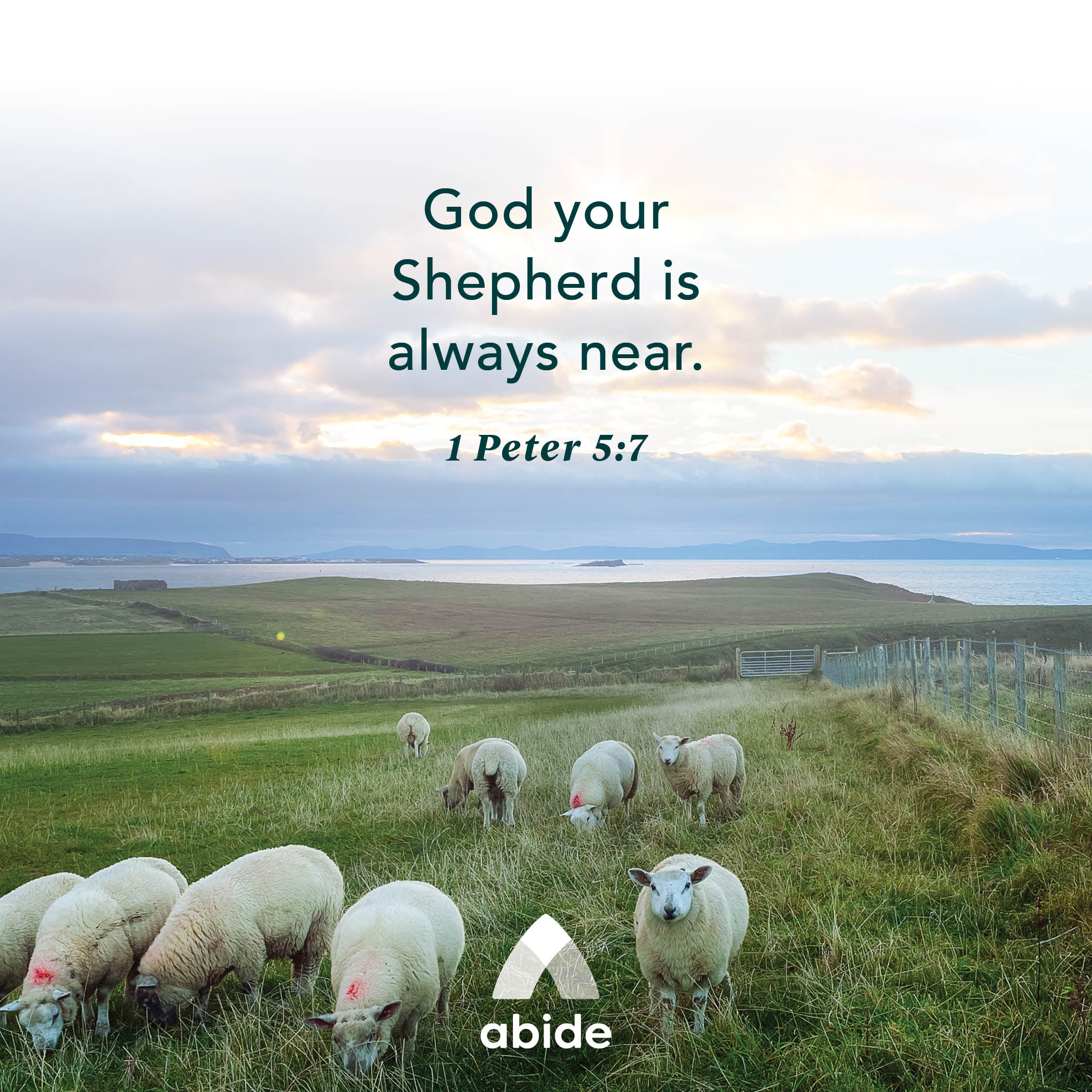 God Is Your Shepherd