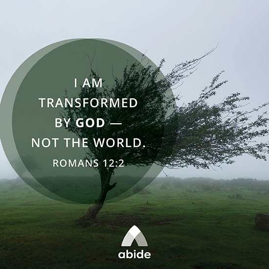 How to Be Transformed