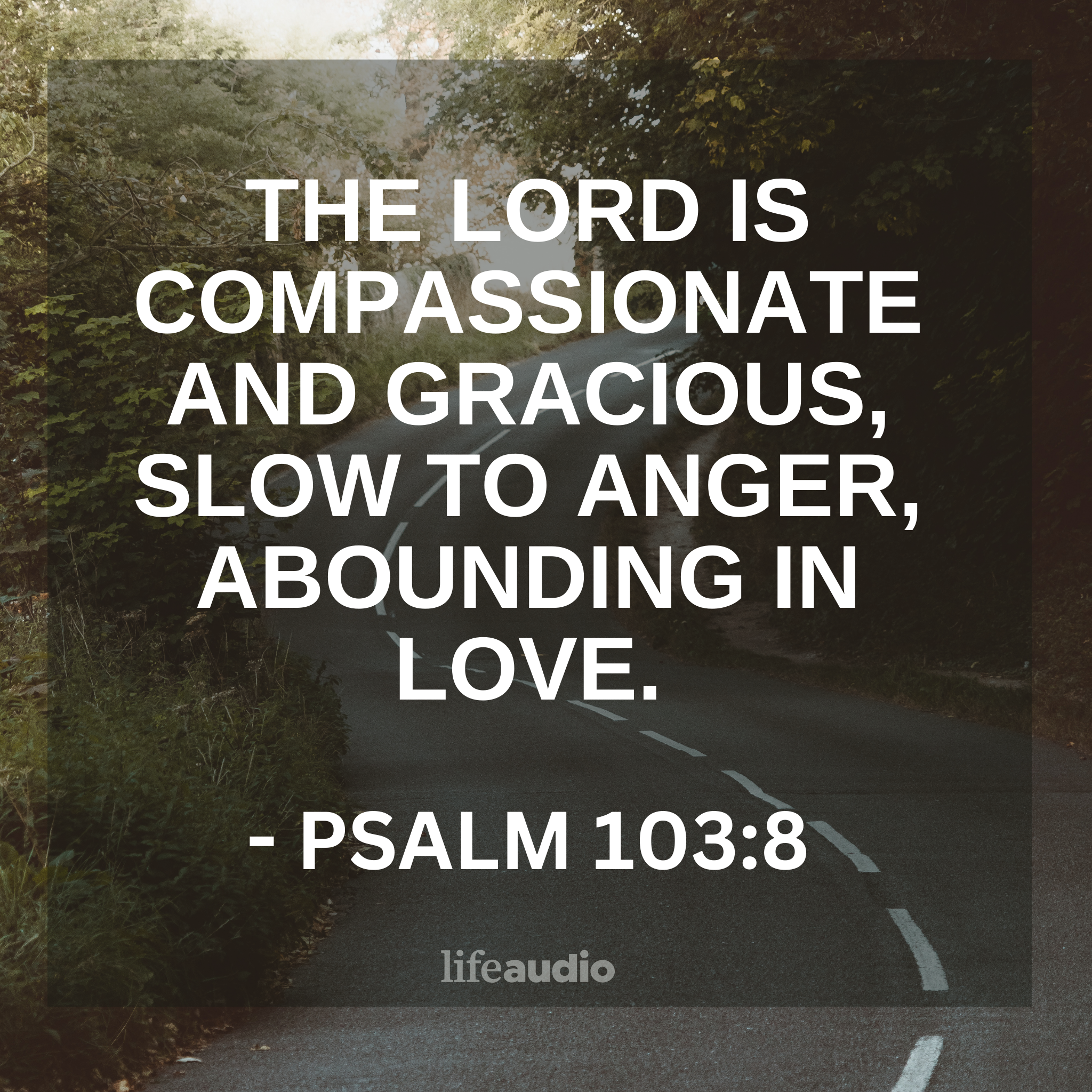 Experiencing God's Compassionate Love (Psalm 103:8)