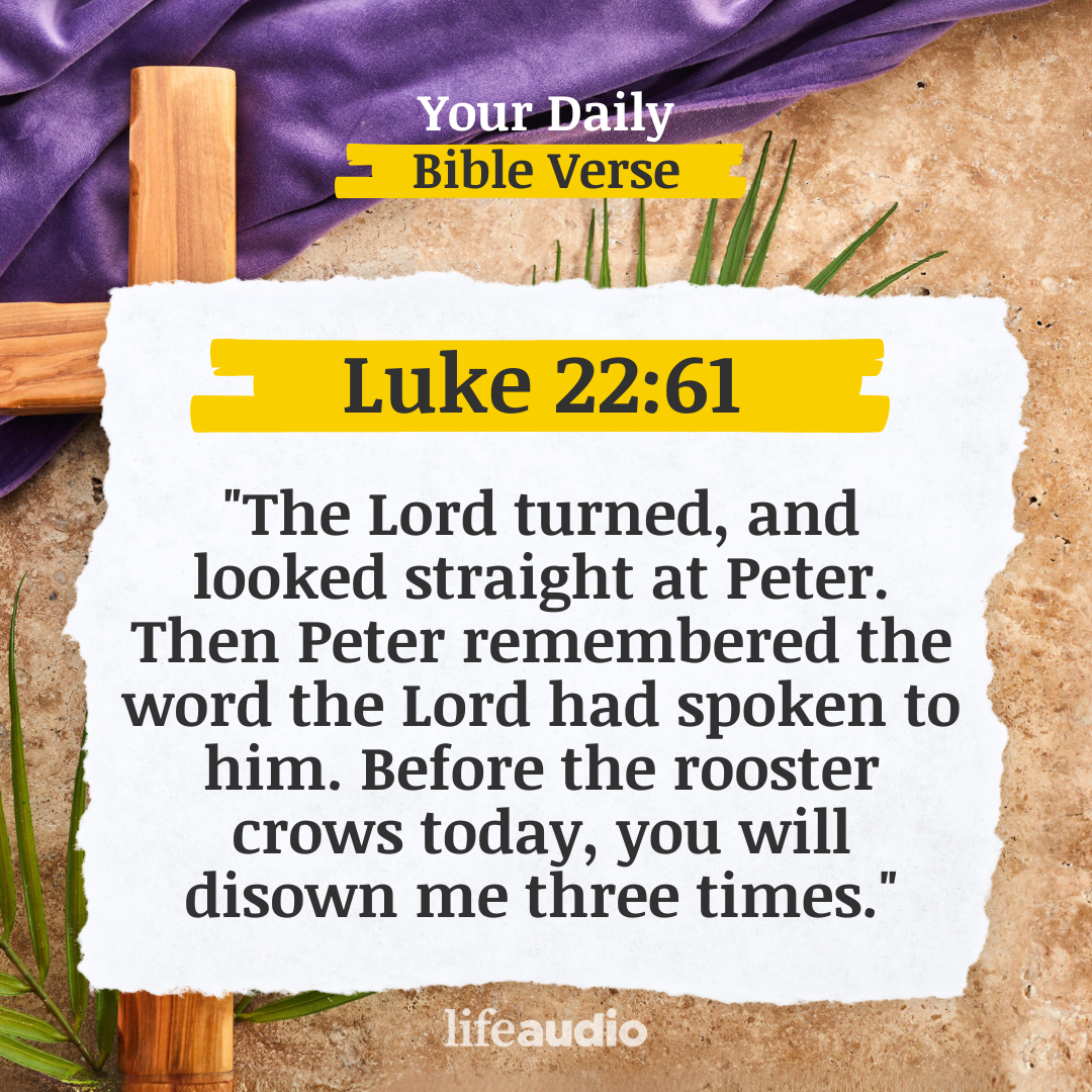 Lent - The Grace to Begin Again After Failure (Luke 22:61)