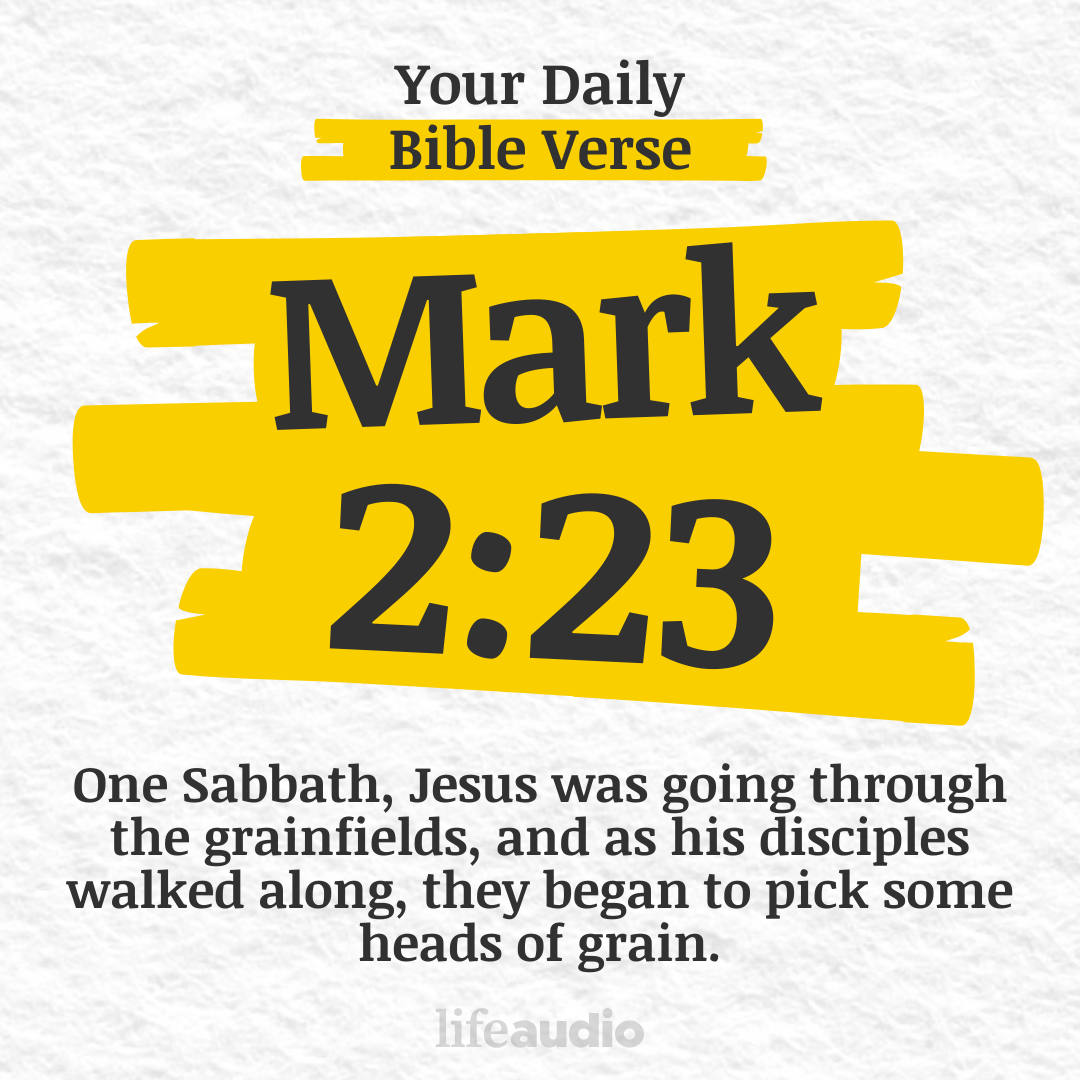 The Lord of Uncomfortable Sabbaths (Mark 2:23)