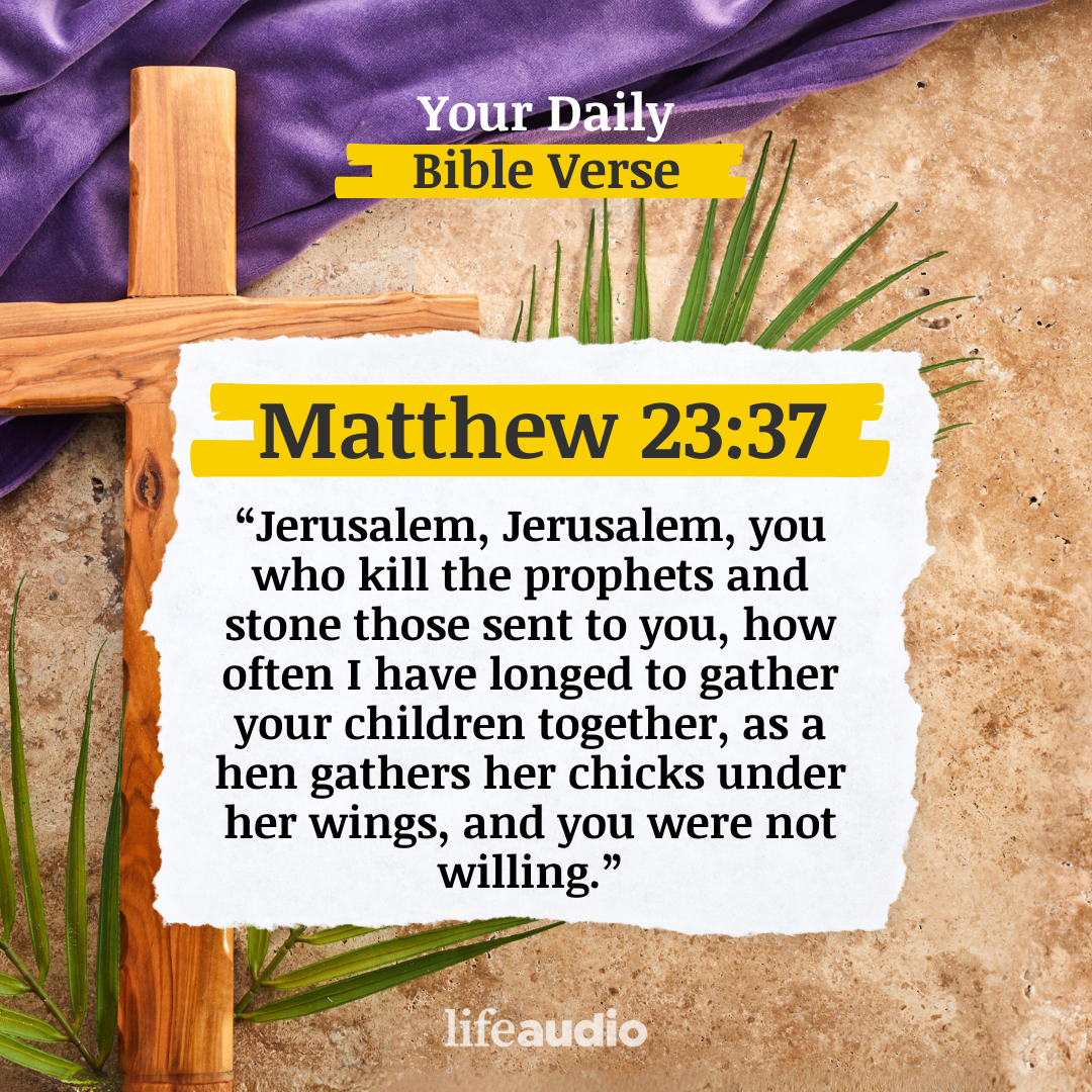 Jesus Laments Over Jerusalem (Matthew 23:37)