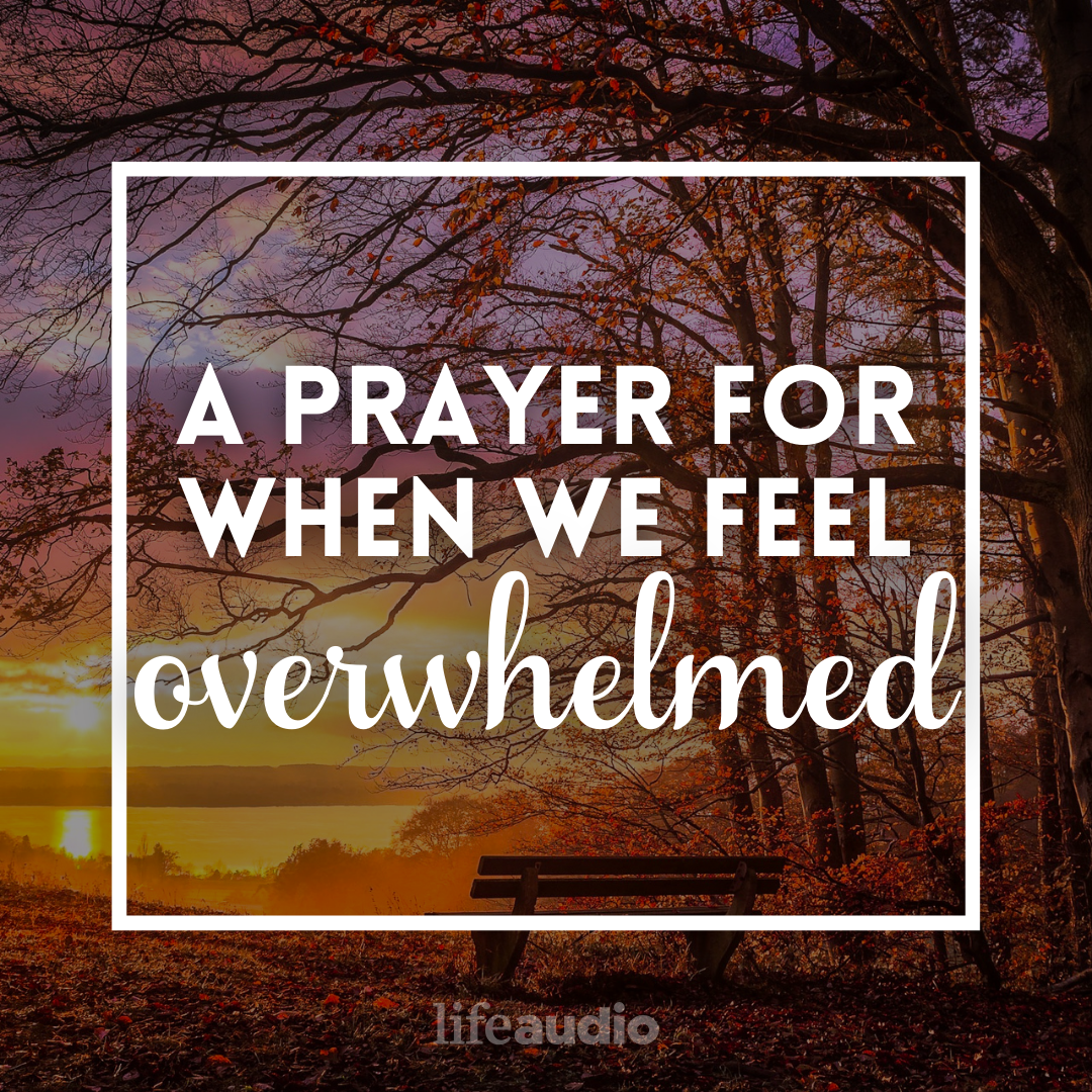 A Prayer for When We Feel Overwhelmed
