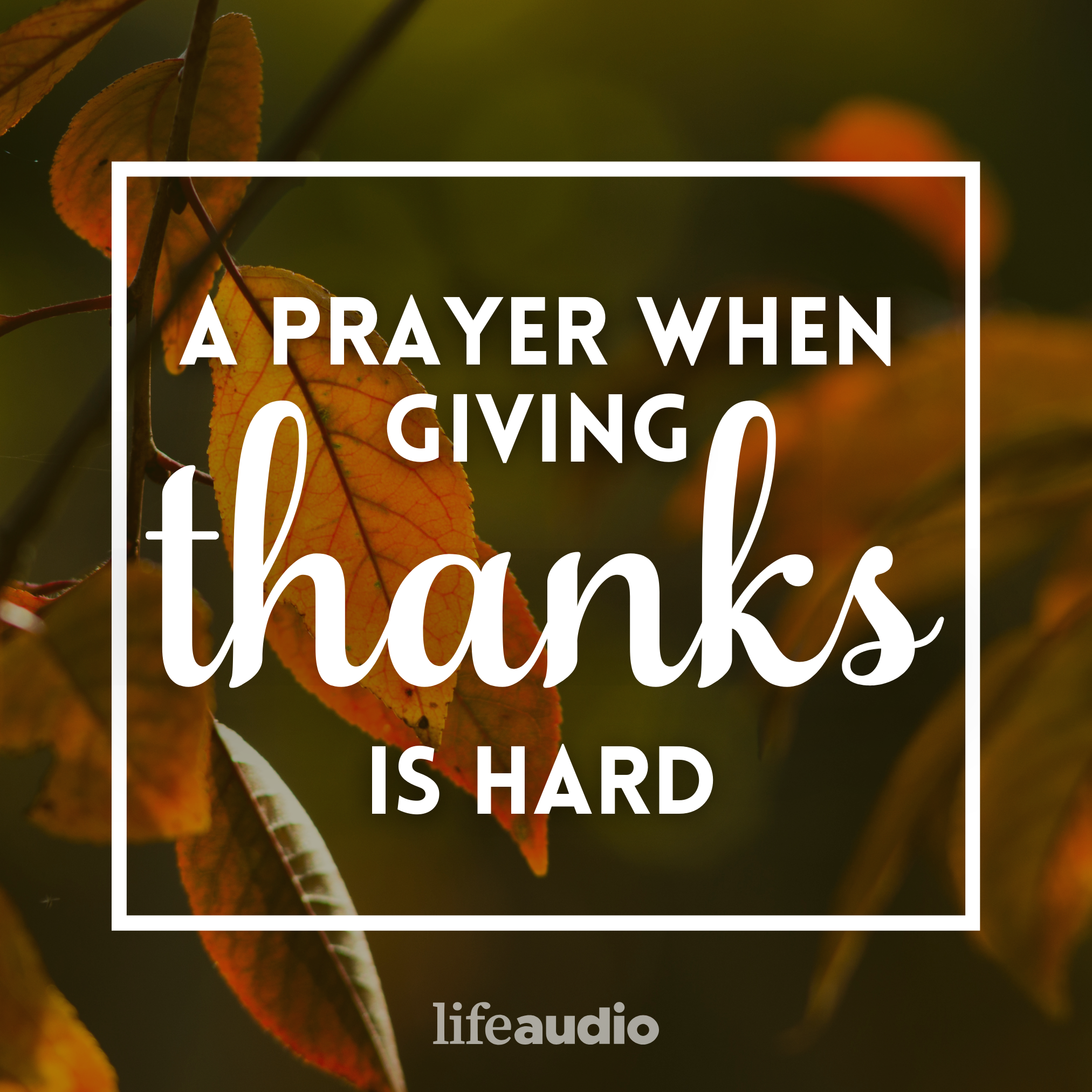 A Prayer When Giving Thanks Is Hard