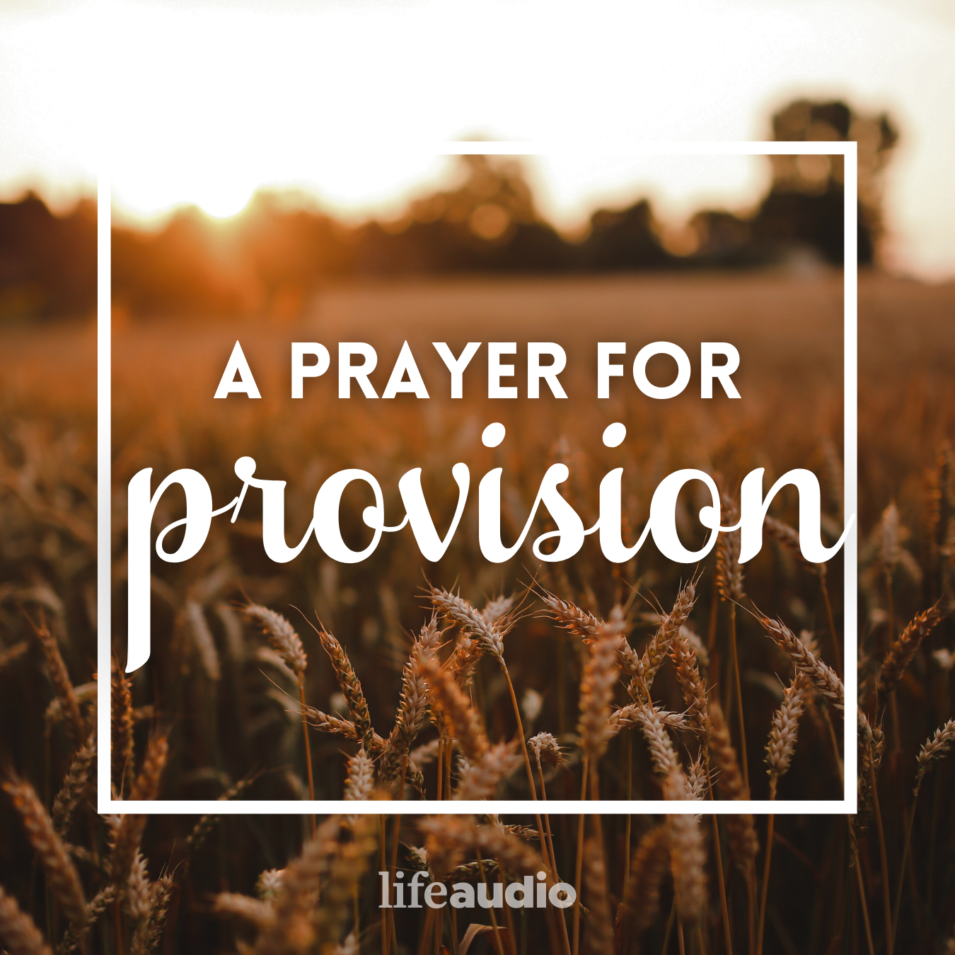 A Prayer for Provision