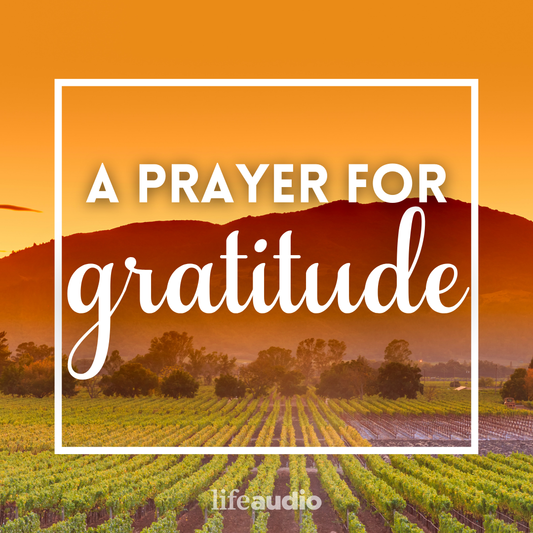 A Prayer for Gratitude