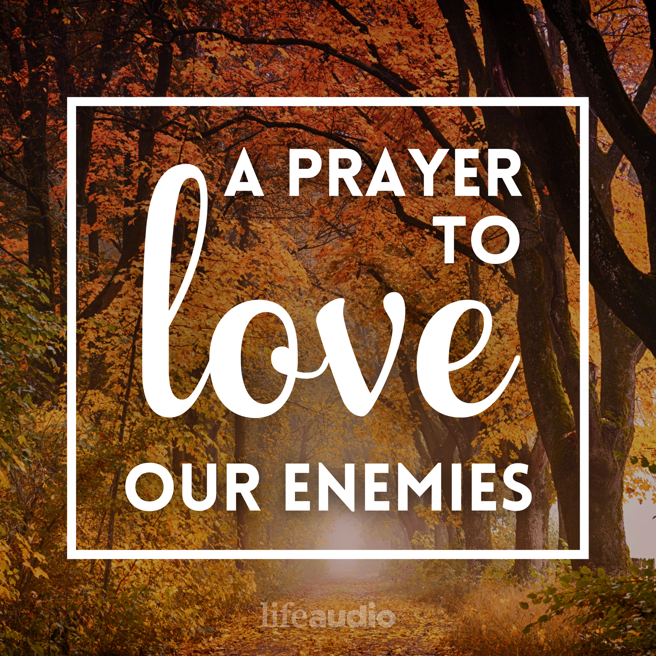 A Prayer to Love Our Enemies