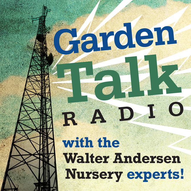 GARDEN TALK | 12.09.23