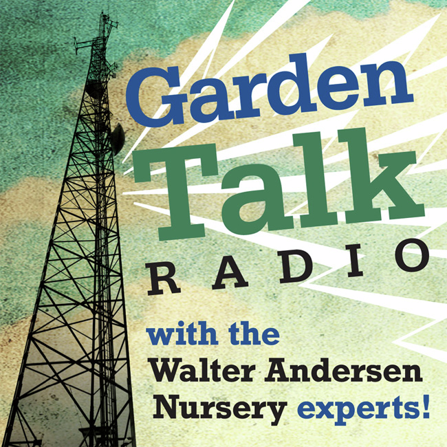 GARDEN TALK | 10.26.24