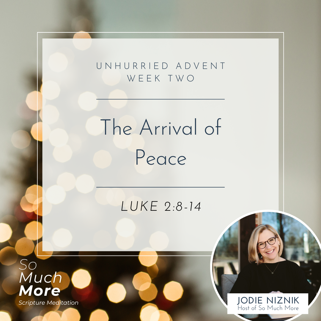 The Arrival of Peace | Luke 2:8-14 (Advent Week 2)