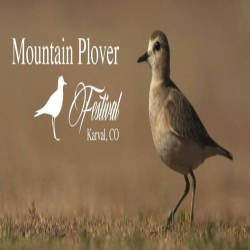 Mile High Magazine 04/02/2023 Plover Festival