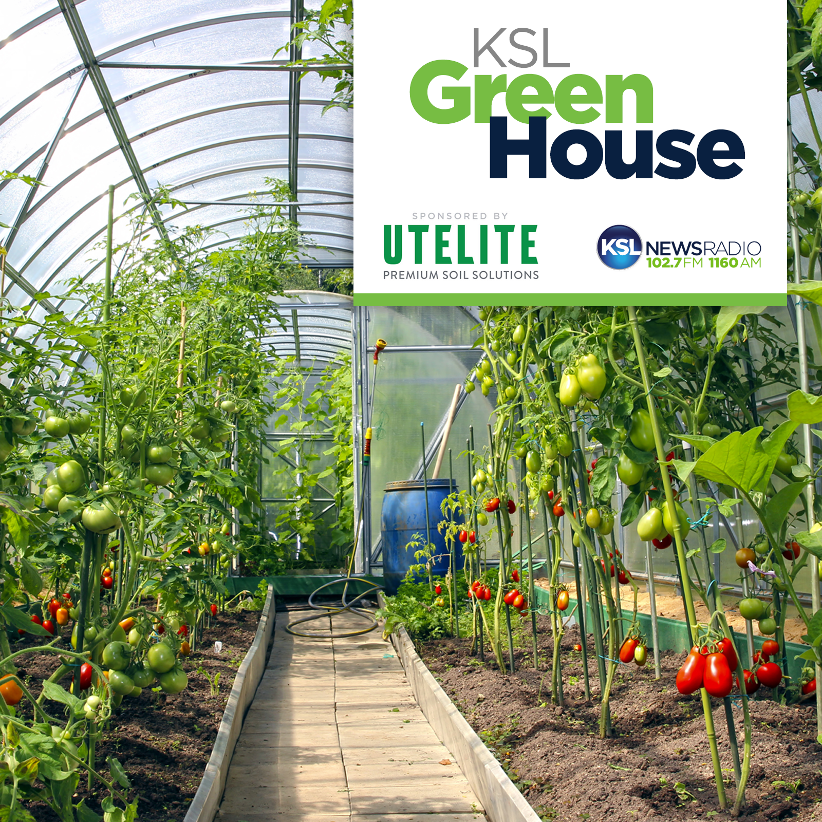 Alternative Lawn with Liz Braithwaite | KSL Greenhouse