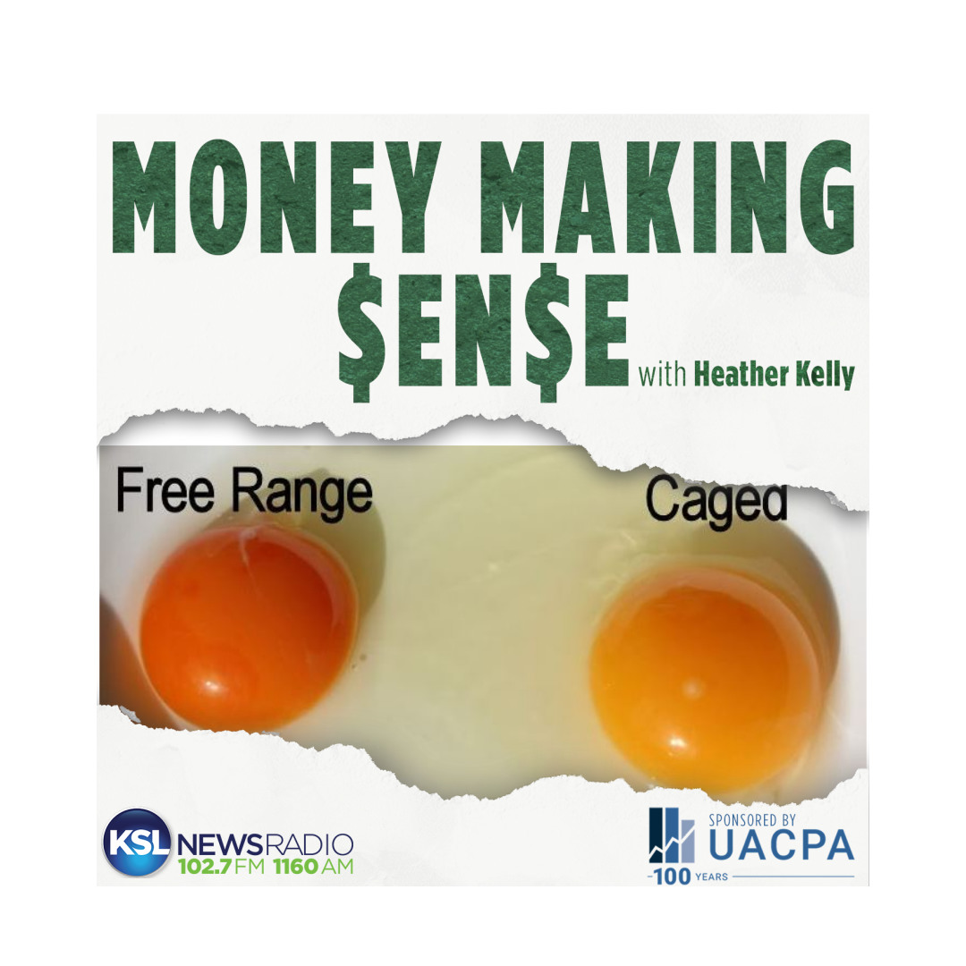 The difference between eggs and their effect on your wallet