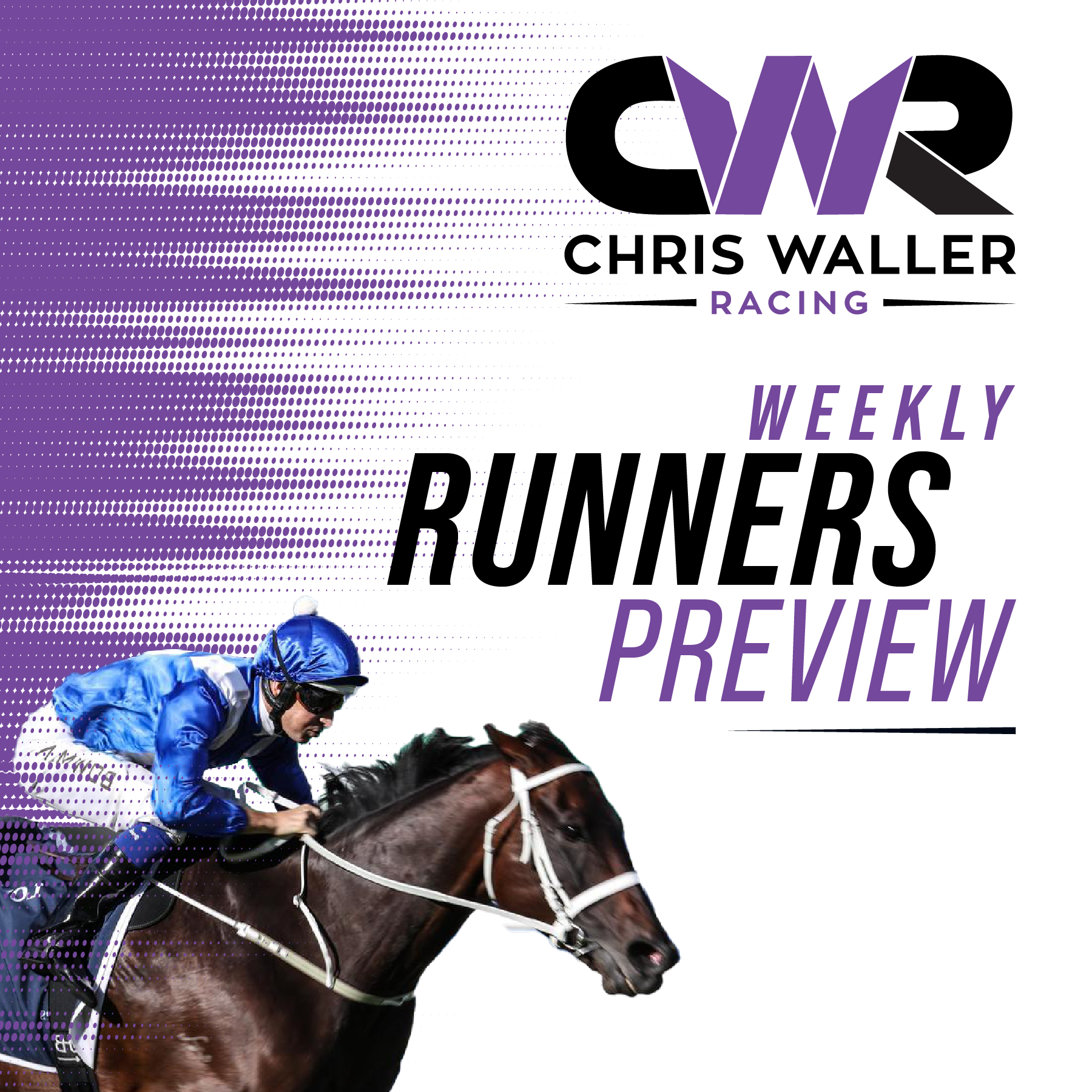 CWR Weekly Runners Preview 2nd November 2024