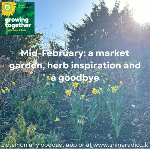Growing Together - mid-February 2024: a market garden, herb inspiration and a goodbye
