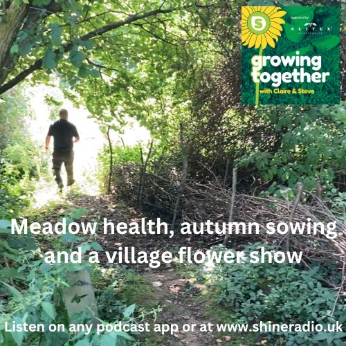 Growing Together - mid-August: meadow health, autumn sowing and a village flower show