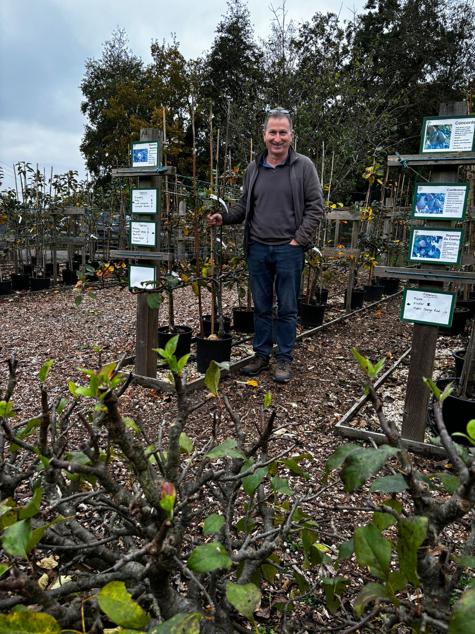 Growing Together - Early November 2024: Ann's year in review and Southern Fruit Trees