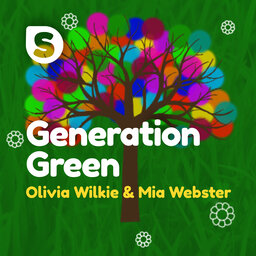 Generation Green – Stealing Corn & Amesbury School