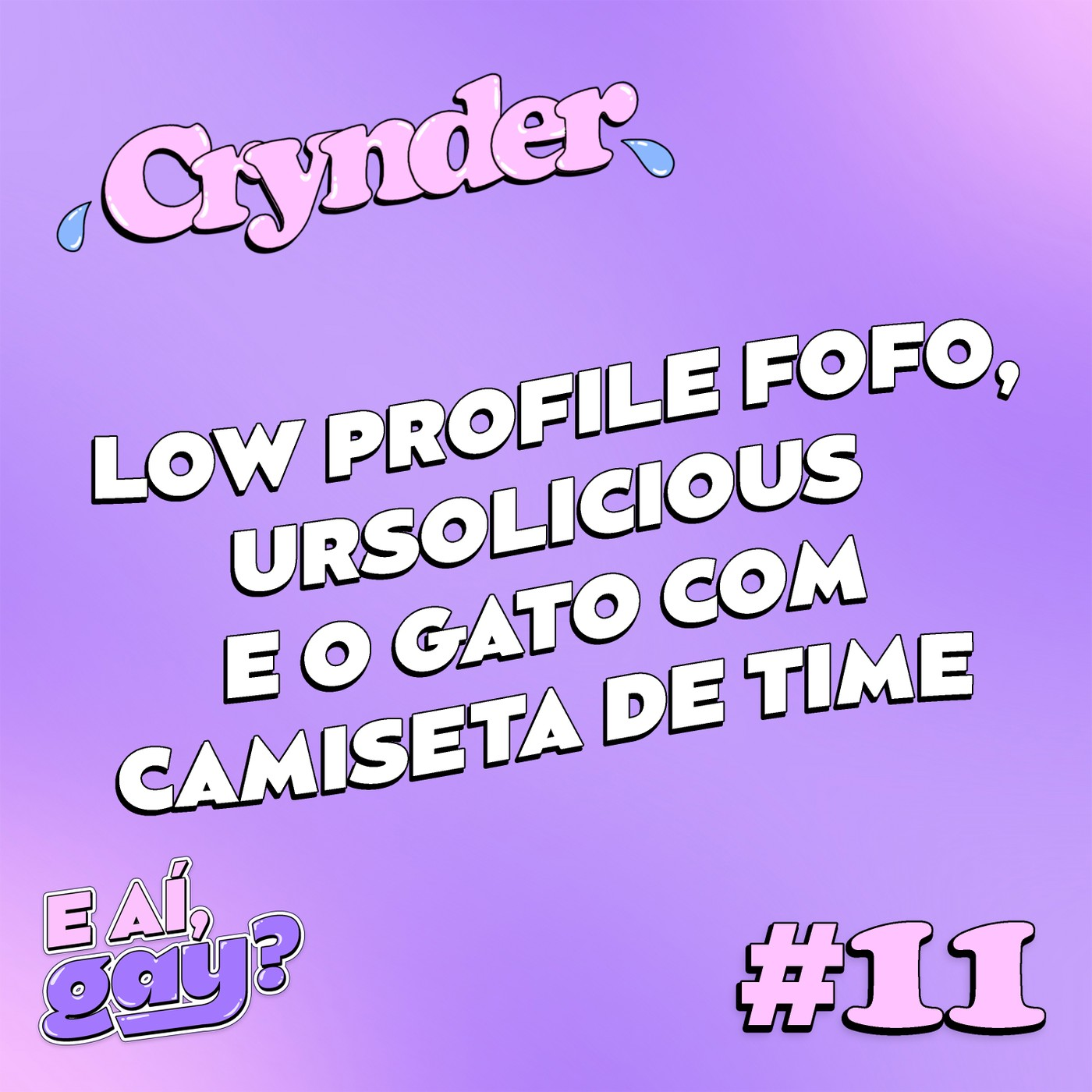 Crynder #11 - Low profile fofo, Ursolicious e o gato com camiseta de time