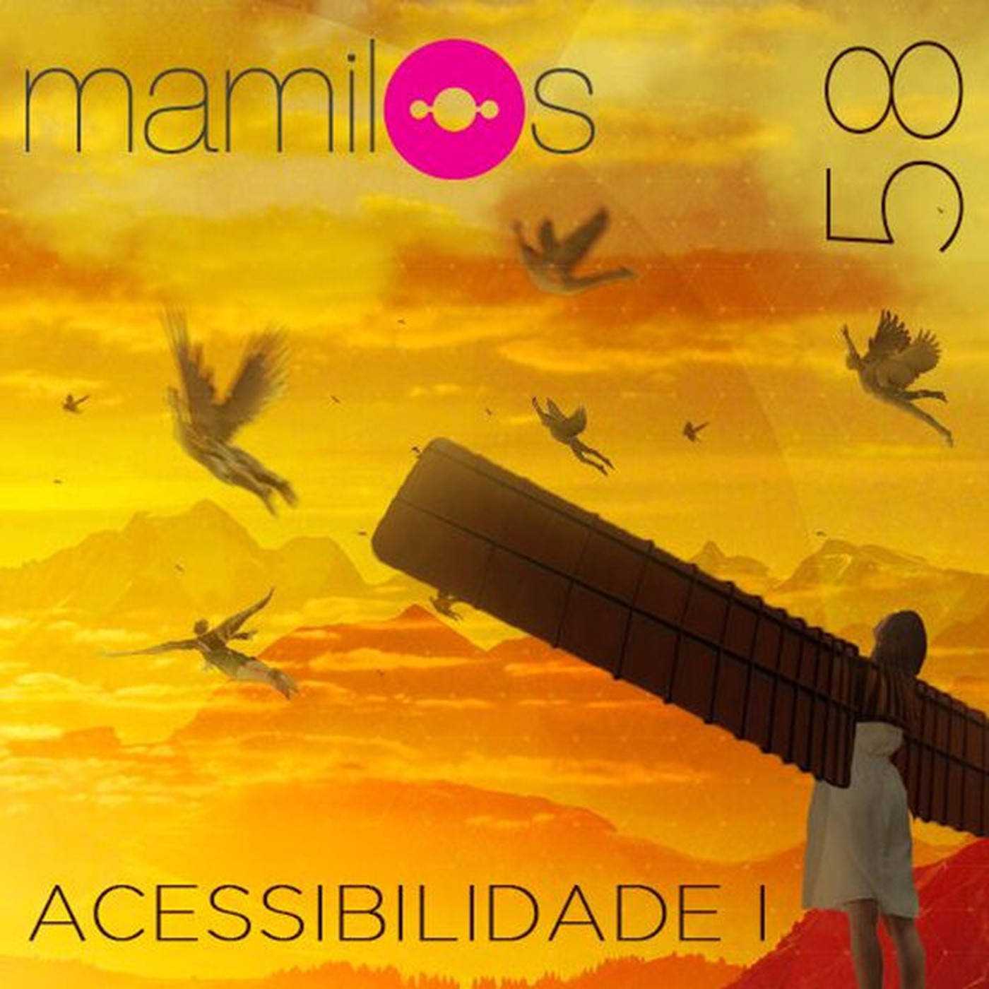 #58 - Acessibilidade