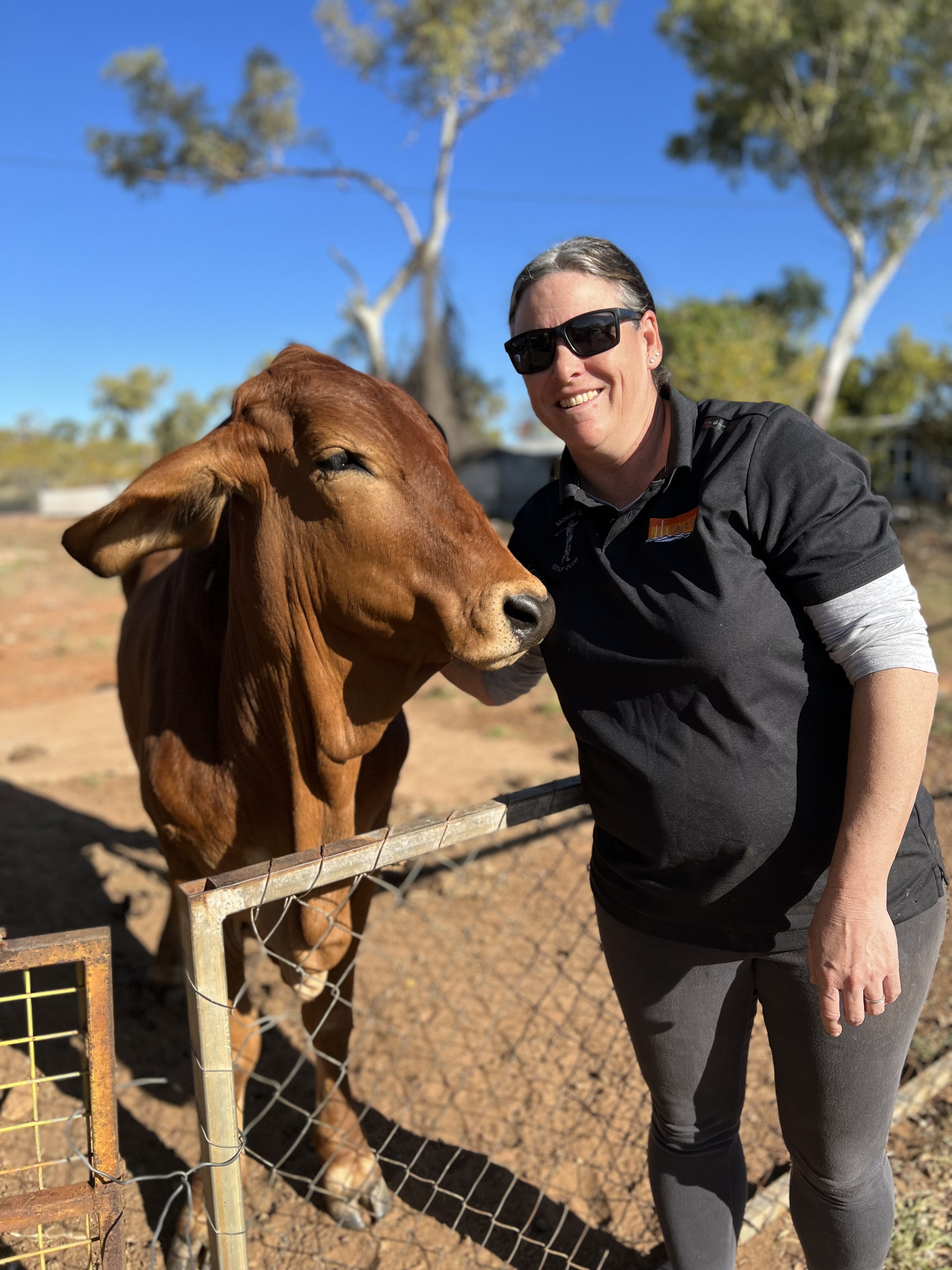 Richard the Steer loves golfers - Margie McElligott