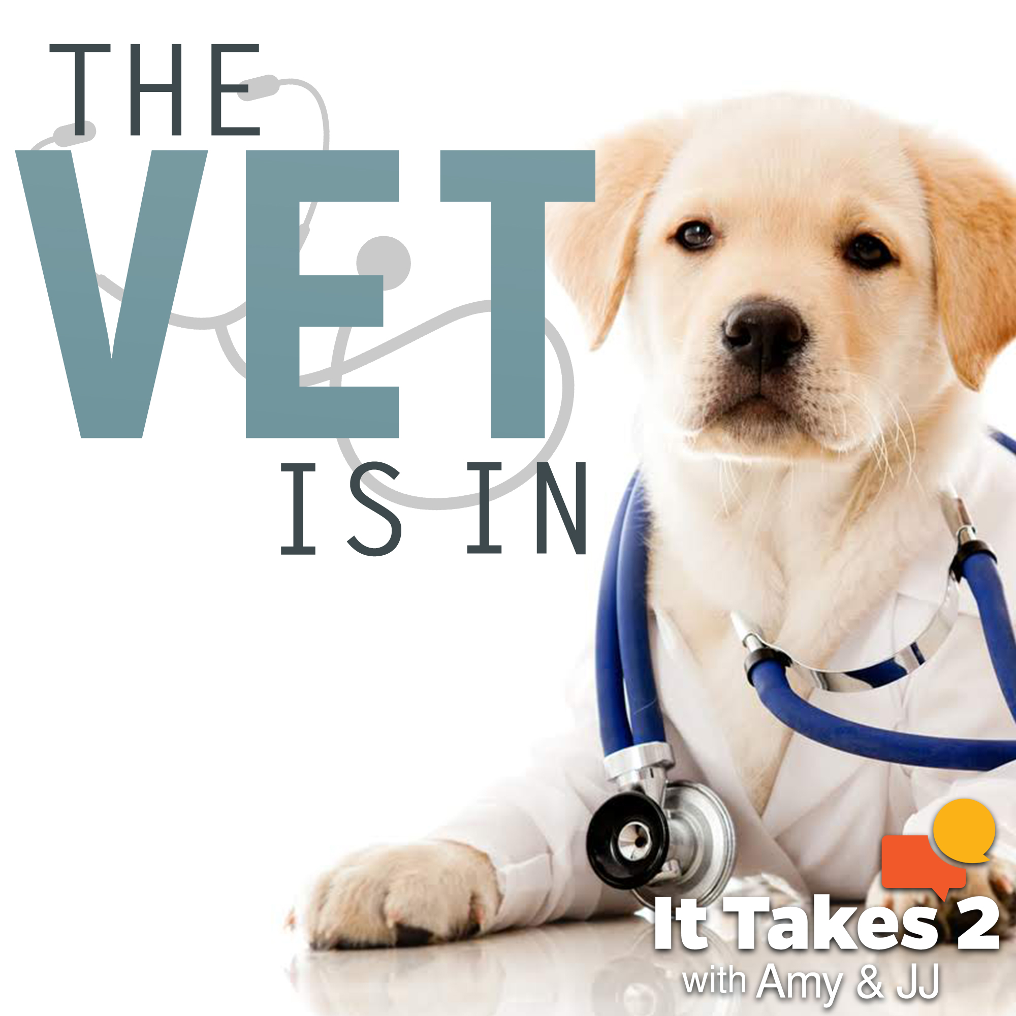 The Vet Is In - Traveling Out of Country with Pets, Tick Prevention & More