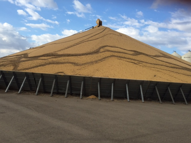 Mid-Morning Ag News, March 17, 2021: Expert discusses Chinese demand for U.S. soybeans