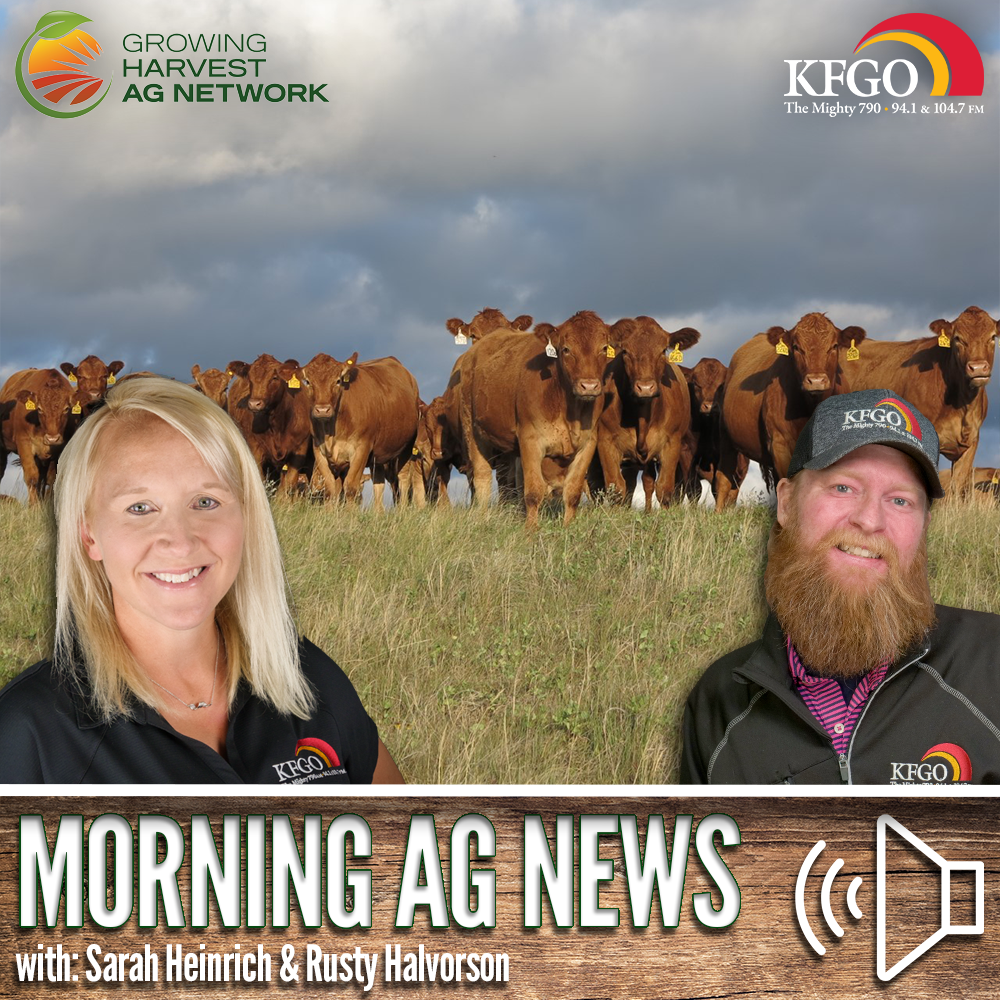 Morning Ag News, January 1, 2025: Strong cattle market continues into 2025