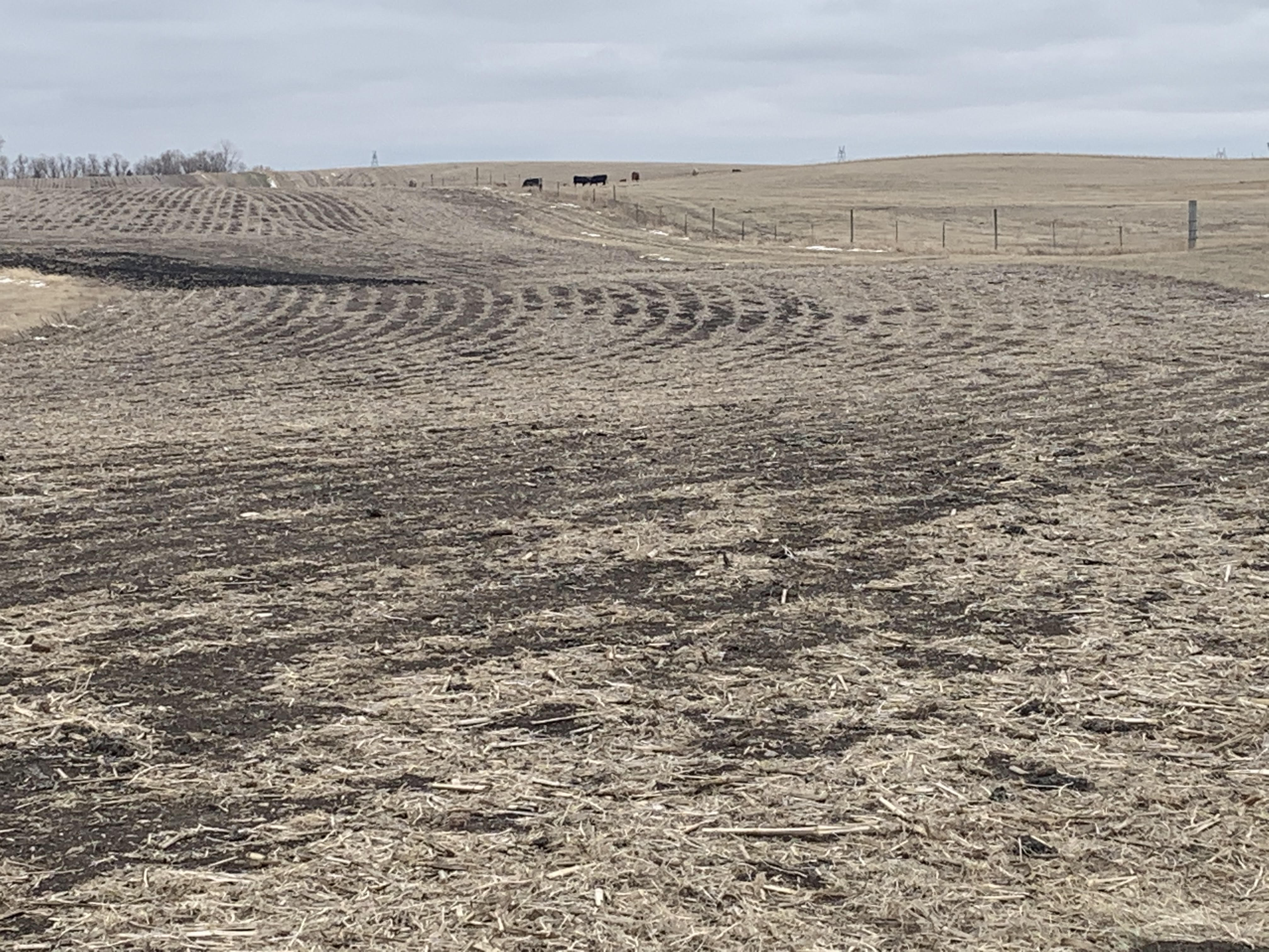 Afternoon Ag News, May 6, 2021: Planting progress continues in Barnes County