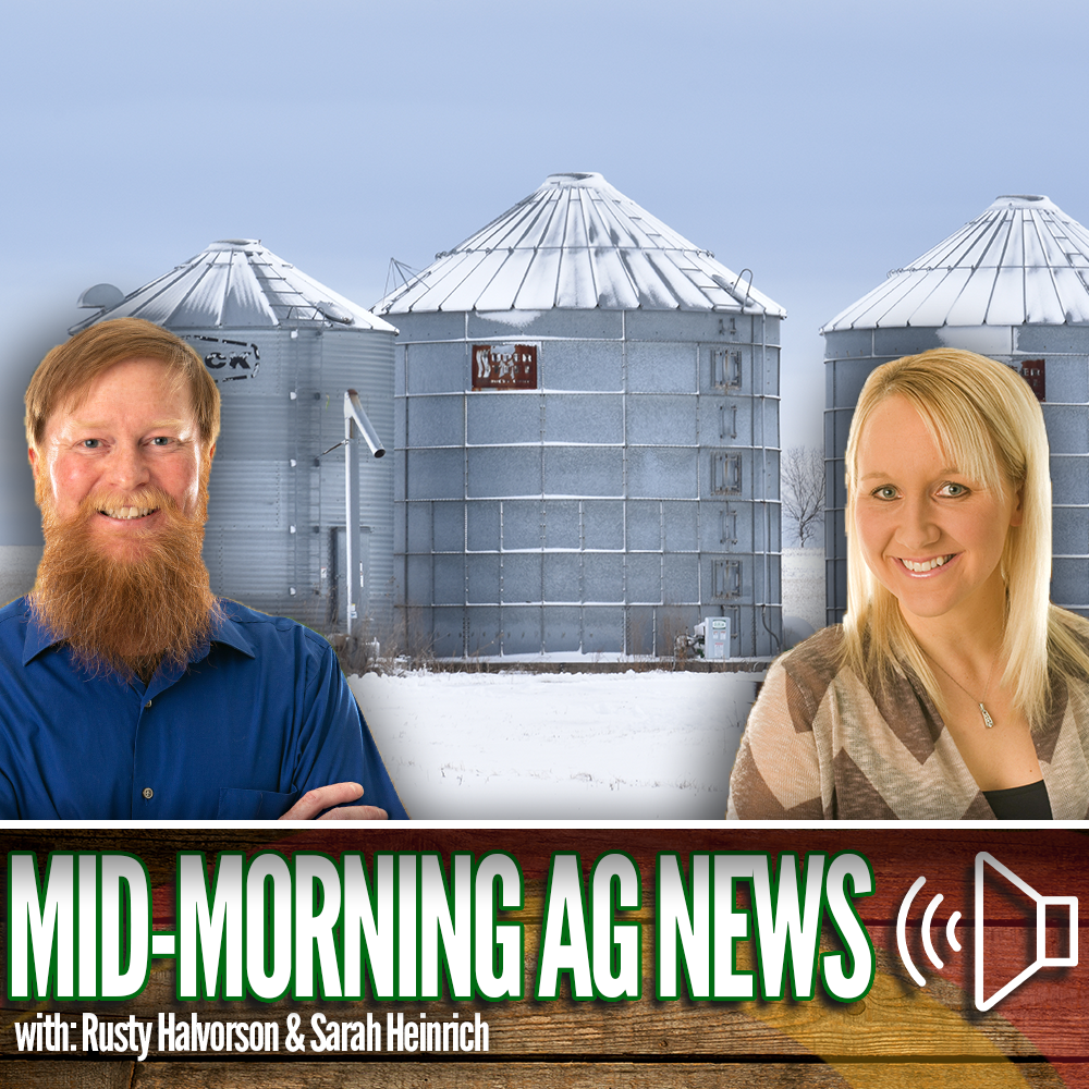 Mid-morning Ag News, October 31, 2023: Corn and soybean export sales rise