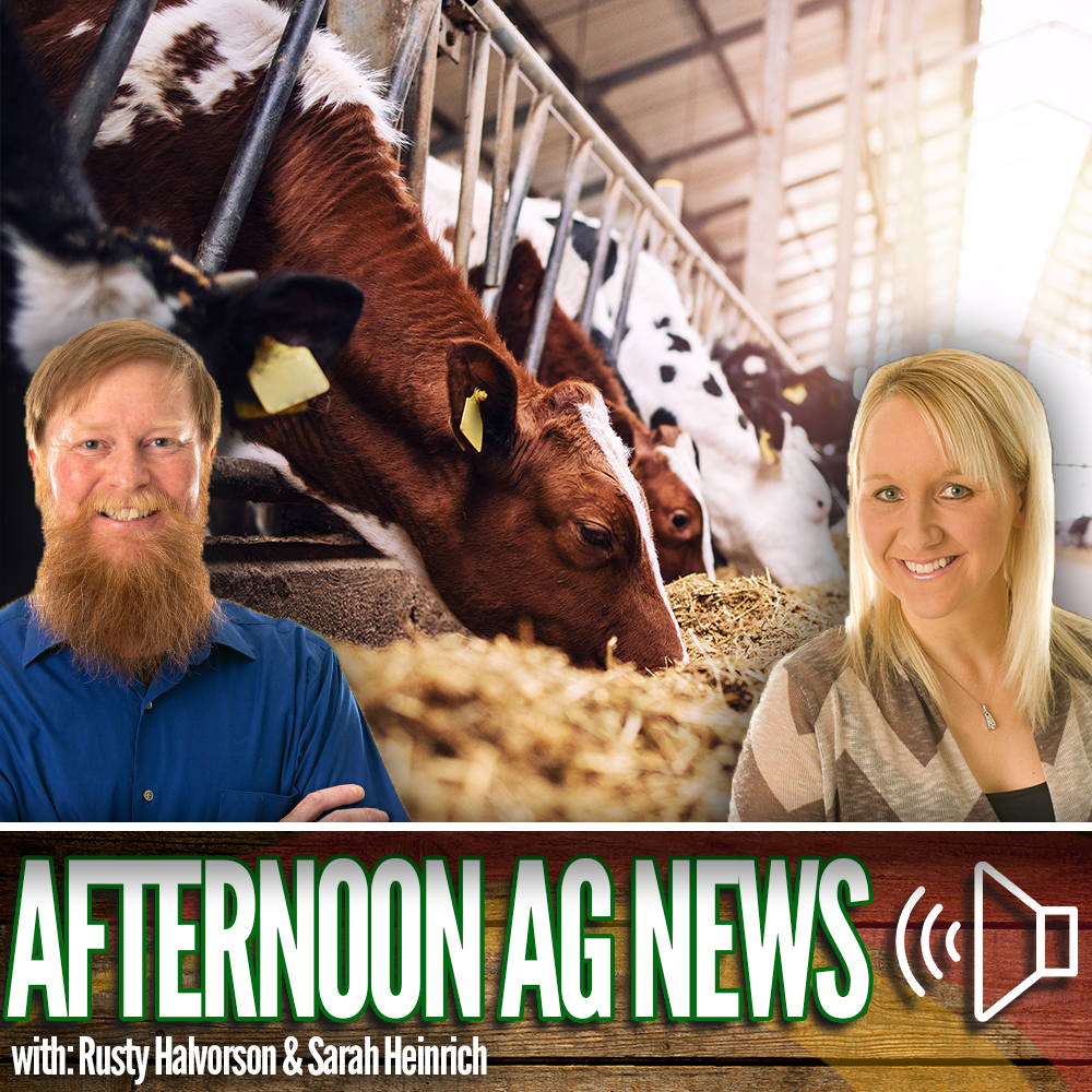 Afternoon Ag News, August 1, 2024: The U.S. dairy industry is evolving