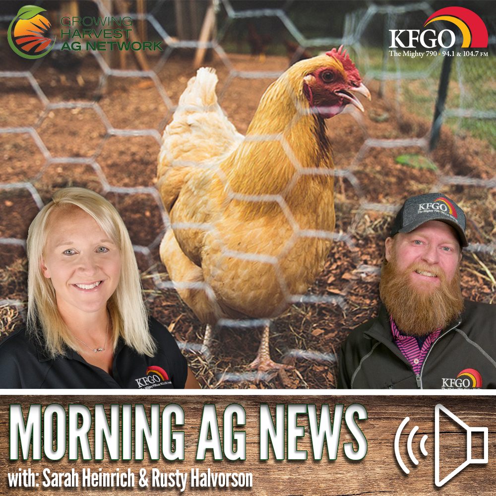 Morning Ag News, September 5, 2024: HPAI is slowing, but producers are warned to continue to be cautious