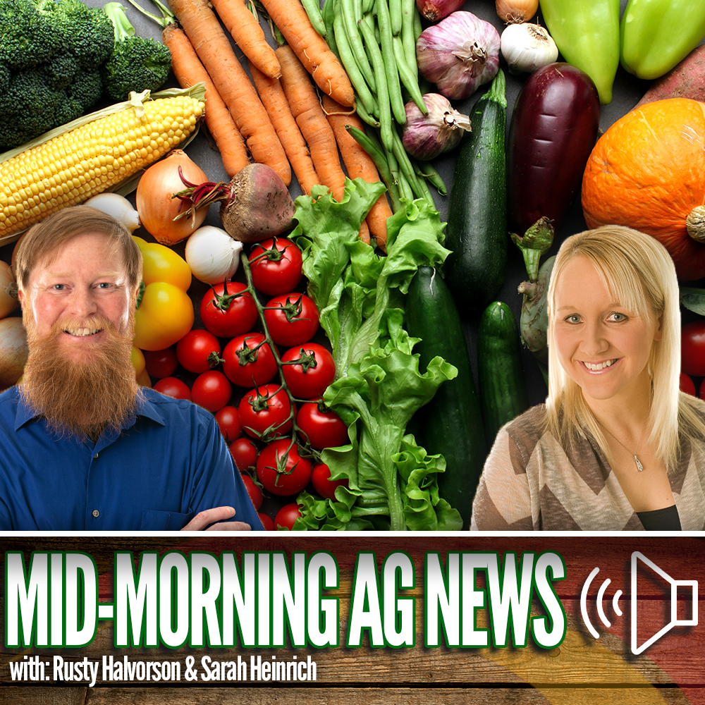 Mid-morning Ag News, November 22, 2023: USDA works to expand export market opportunities