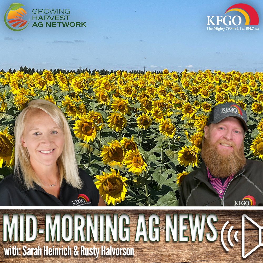 Mid-morning Ag News, October 26, 2023: Sunflower harvest progress