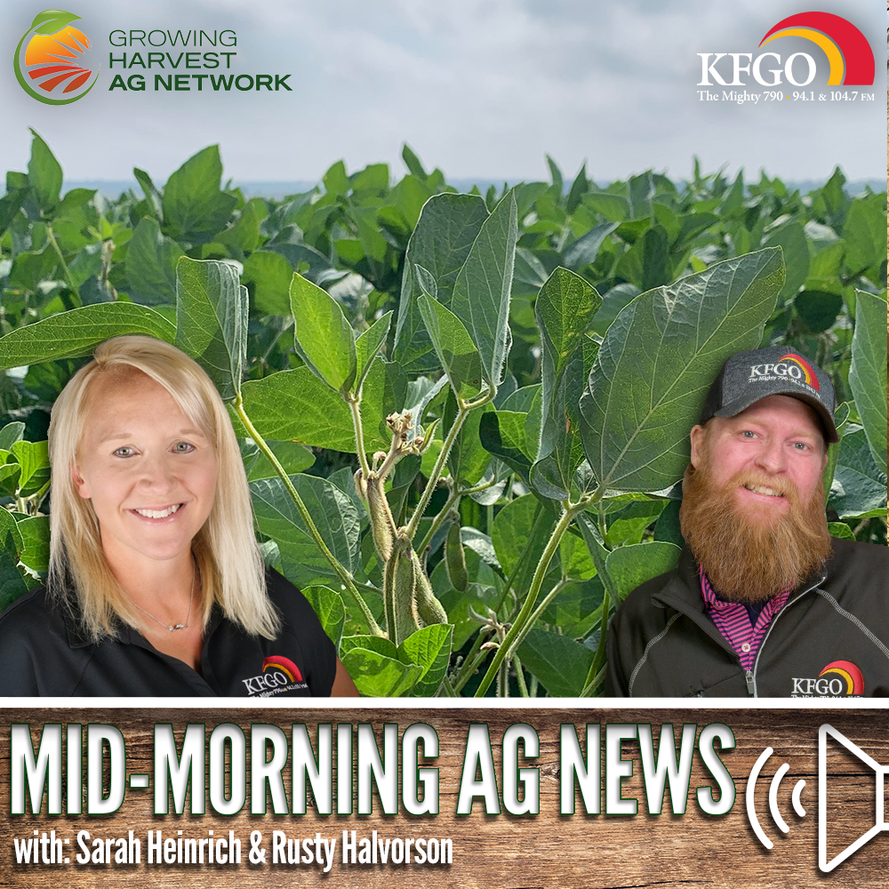 Mid-morning Ag News, July 11, 2024: Tough global market for U.S. soybeans