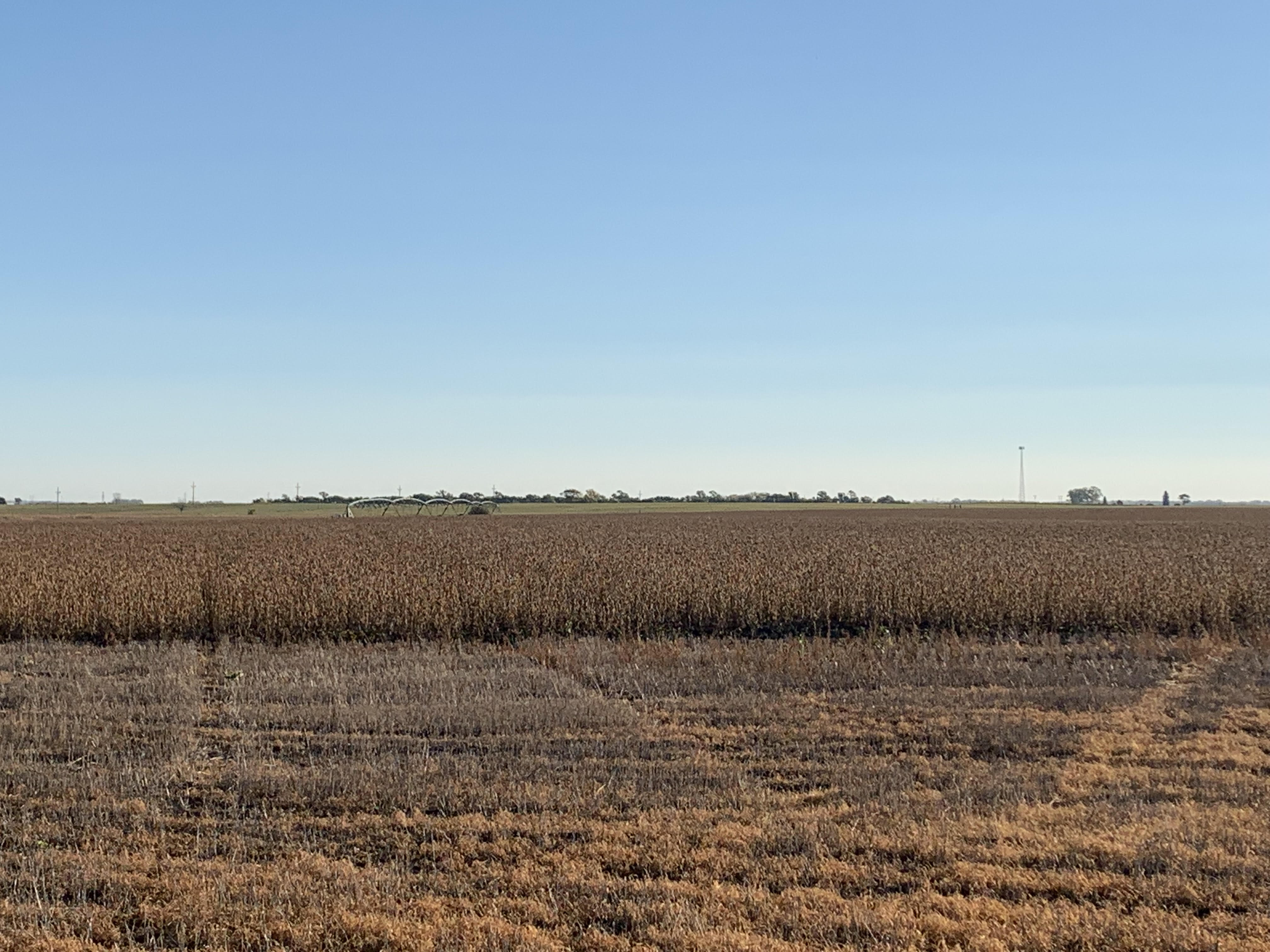 Farmers working on soybean harvest in Kidder County