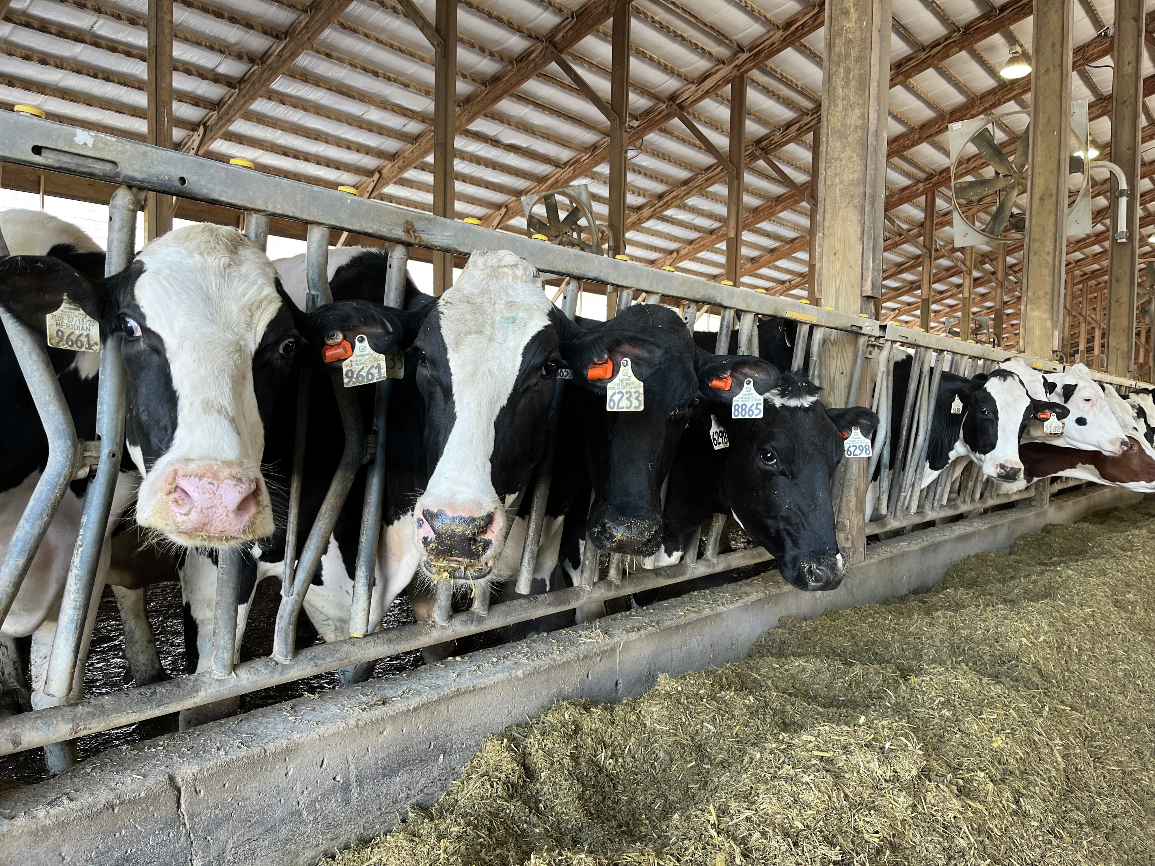 Farm Talk: Animal ag opportunities expanding in North Dakota