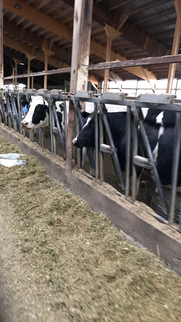 Mid-morning Ag News, March 2, 2022: South Dakota and Minnesota dairy producers can apply for the Dairy Business Builder Grant