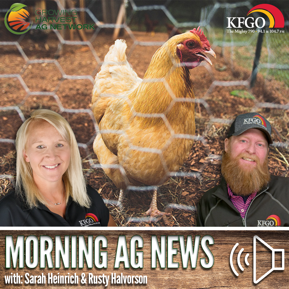 Morning Ag News, October 27, 2023: Americans love their chicken