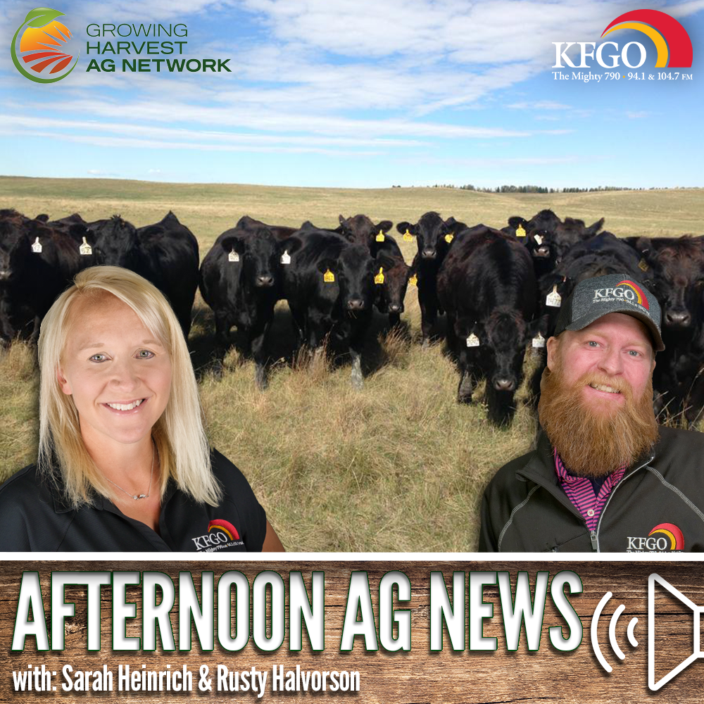 Afternoon Ag News, August 23, 2024: Leadership academy to be held for South Dakota beef producers